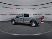 // ACCIDENT FREE!! // Built to work hard and drive with confidence, this 2023 Ford F-150 XLT Reg Cab... (image 5)