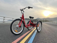 New Electric Trike 80km Range Free Shipping Warranty