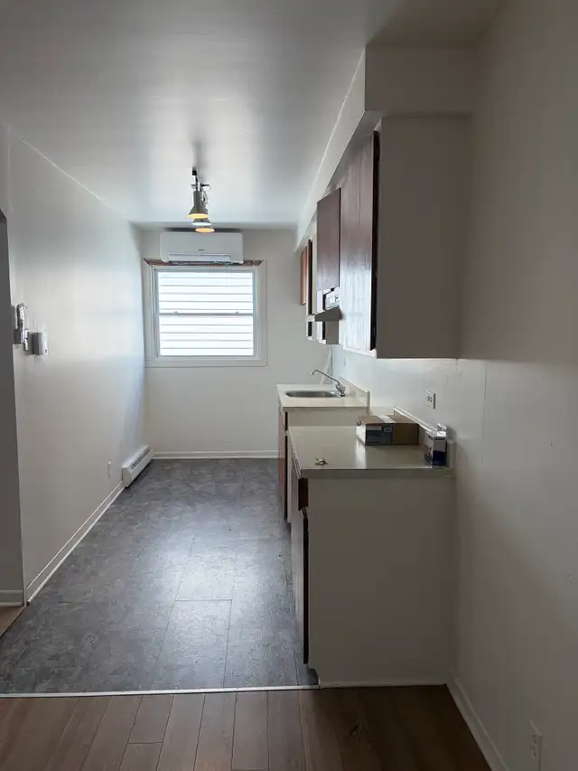 Beau très grand 5 1/2 1er étage Lévis Frais peint ! PROMO in Long Term Rentals in Québec City - Image 4