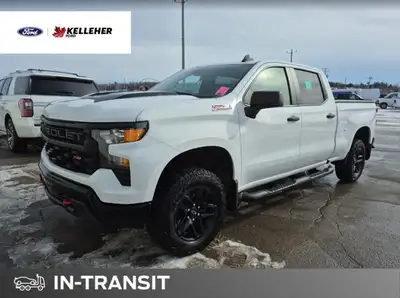 Experience true capability and rugged design with the 2024 Chevrolet Silverado 1500 Custom Trail Bos...