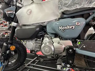 2025 HONDA Z 125 MAS Z 125 MAS Monkey ABS Grey NEW - Reg $5549 Advertised at $ 5449 Including fine p...