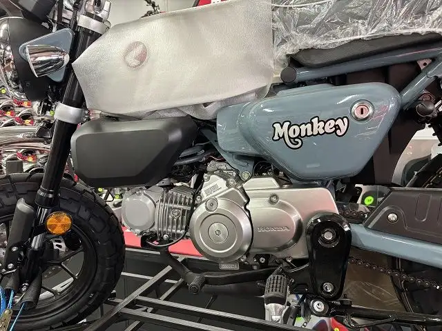 2025 HONDA Z 125 MAS Monkey ABS Grey in Street, Cruisers & Choppers in Winnipeg - Image 2