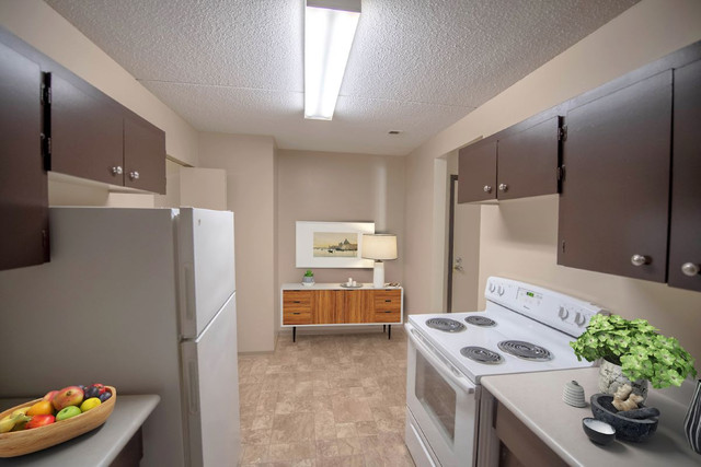 1+Den Available in The Maples in Long Term Rentals in Winnipeg - Image 4