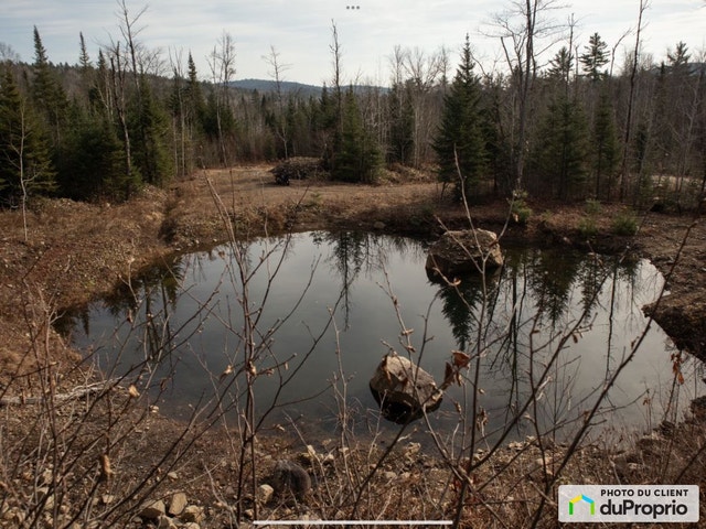 $85,000 - Residential Lot for sale in St-Mathieu-Du-Parc — photo 2