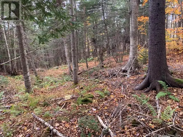 21-01 Worden Road Kingston, New Brunswick in Land for Sale in Saint John - Image 2