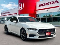 Feel the exhilarating power of the 2024 Ford Mustang I4CP, an American icon engineered for pure perf... (image 8)