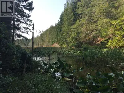 A very private, well treed 80 acres surrounding Trematon Lake on Lasqueti Island. Adjacent to acres...