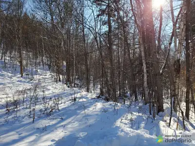 Terre à bois à vendre. 3 terrains annexé en un seul terrain à 2 km du village endroit très calme. Pl...