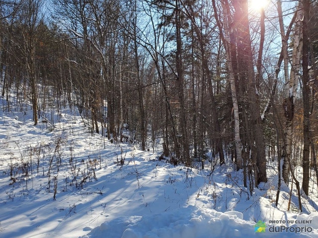 $439,000 - Wood Lot for sale in St-Calixte — photo 1