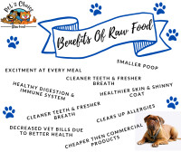 Quality Raw Dog and Cat Food