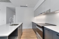 rental apartment for rent-logement locatif a louer-3 bedrooms/chambres-5 1/2-3cc-metro Papineau-vill... (image 2)