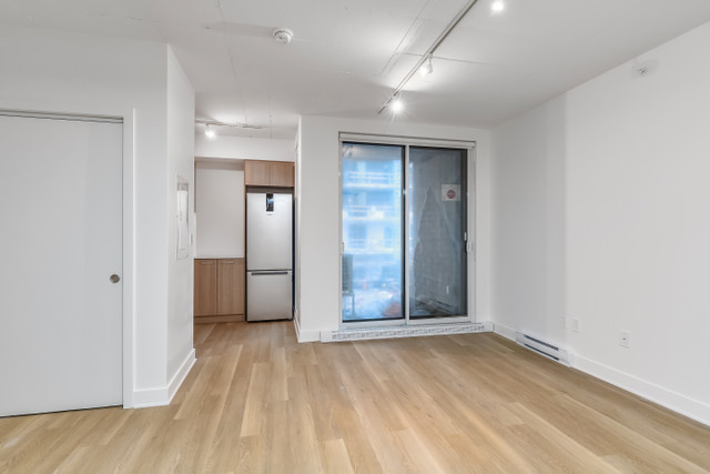 2.5 Studio condo à louer Ville-Marie metro Papineau-Champlain dans Locations longue durée  à Ville de Montréal - Image 4