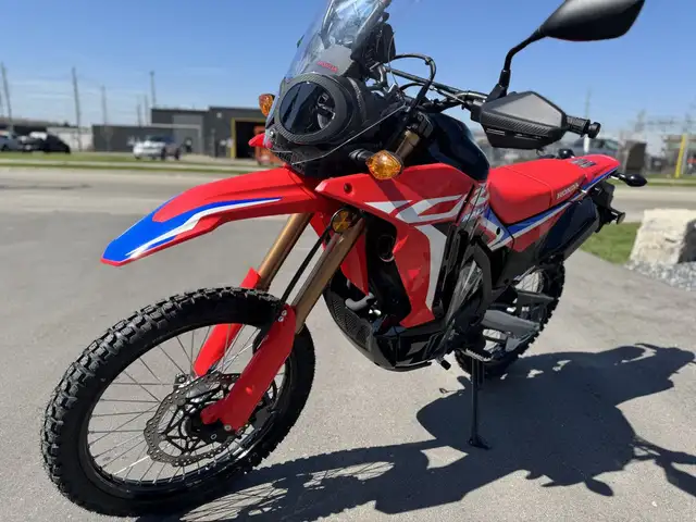 2024 Honda CRF300L Rally ABS in Street, Cruisers & Choppers in Kitchener / Waterloo - Image 6