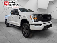 FORD F-150 XLT SUPER CREW 4WD 2023 PACKAGE SPORT 302A / FX4 V8 5.0L Toit Panoramique 1 Proprio Jamai... (image 2)