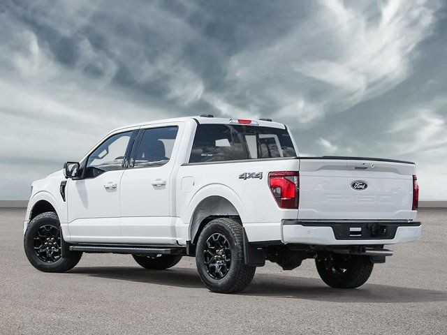 2025 Ford F-150 XLT in Cars & Trucks in Winnipeg - Image 4