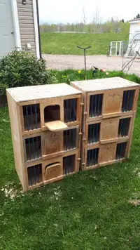 NEST BOX CAGES