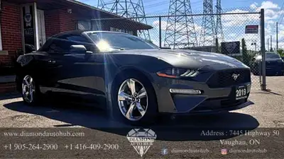 2019 Ford Mustang EcoBoost Convertible | Keyless Entry | Clean Carfax | Bucket Seats | Financing Ava...