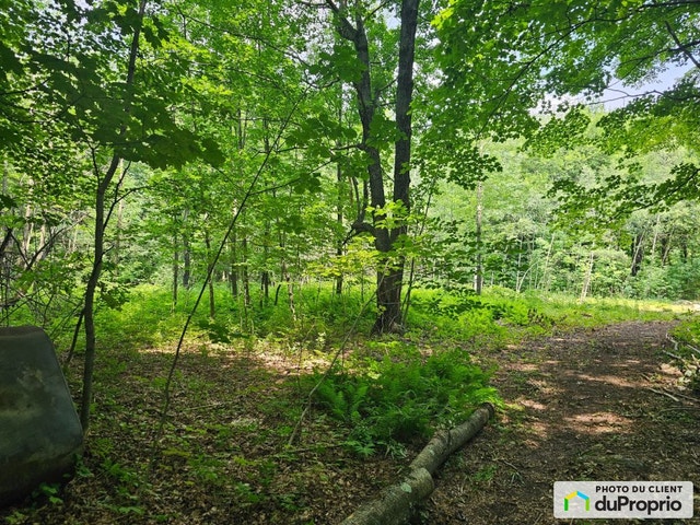 $340,000 - Residential Lot for sale in St-Joachim-De-Shefford — photo 2