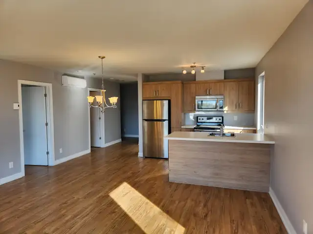 Grand 4 1/2  avec électros, piscine et cour arrière aménagée