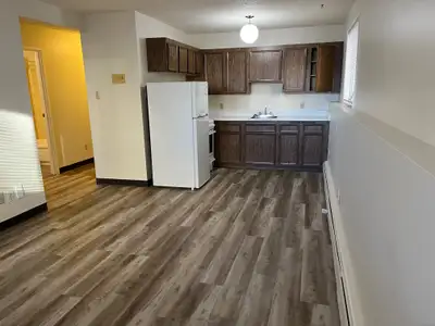 528 3rd Avenue North One bedroom Full bathroom Living room with patio door Balcony Kitchen with frid...