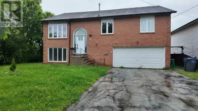 UPPER - 74 DAVID STREET Brampton (Downtown Brampton), Ontario
