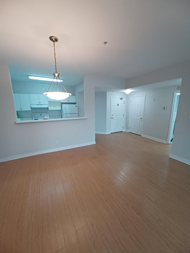 Downtown Moncton - 1 Bed unit, Available now, 4th floor !! in Long Term Rentals in Moncton - Image 4