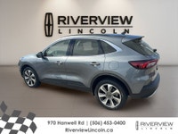 Discover a refined compact SUV that fits daily life in Fredericton with ease. This used 2025 Ford Es... (image 2)