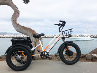 New Meigi Zeus Fat Tire Electric Trike Free Shipping Warranty