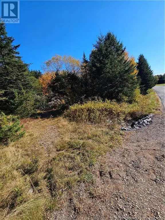 Lot Route 111 Bains Corner, New Brunswick in Land for Sale in Saint John - Image 5