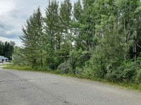 VACANT LOT FOR SALE 7,263 SQ FT. IN FORT ST. JAMES, BC $29,999