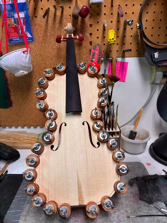 Violin, cello and string instrument Luthier5502229025292390418