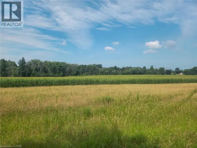 766485 TOWNSHIP ROAD 5 Road Drumbo, Ontario in Land for Sale in Woodstock - Image 12