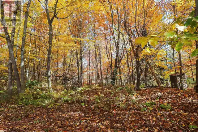 Lot 19 Nokomis Beach RD Sault Ste. Marie, Ontario in Land for Sale in Sault Ste. Marie - Image 11