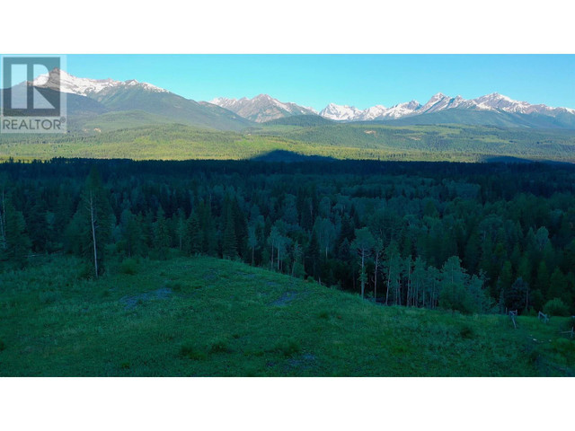 LOT 3 O'DWYER ROAD Valemount, British Columbia in Land for Sale in Quesnel - Image 2
