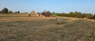 2 bedroom bright basement country apartment horse accommodation