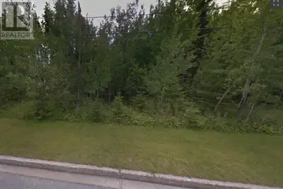 Large vacant treed fully service lot in the south end of the city near the Regional Hospital, Govern...