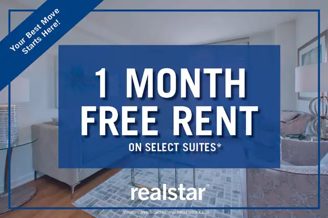 Fantastic 1 Bedroom Apartment for Rent in Ottawa! in Long Term Rentals in Ottawa - Image 2