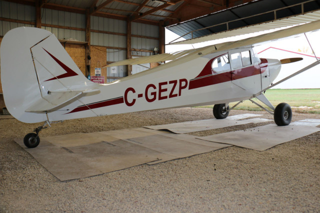 Aerona Chief for sale in Other in Portage la Prairie - Image 3