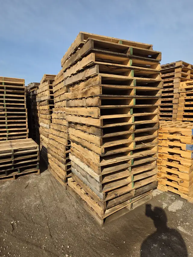 Standard & Custom sized pallets, skids, crates & more. in Other Business & Industrial in Moncton - Image 3