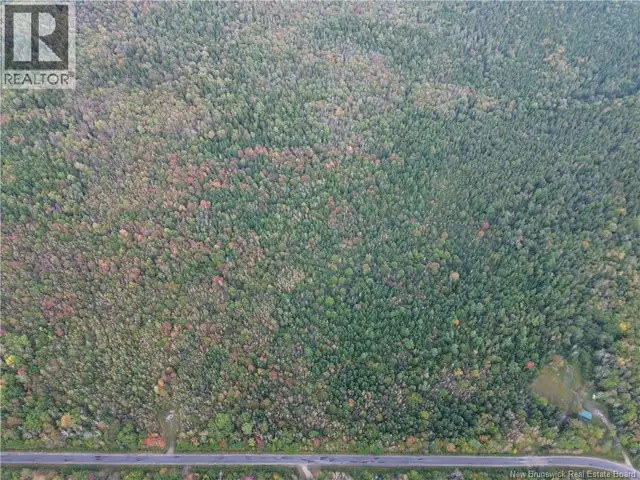 Lot 3 Bronson Sett Road Bronson Settlement, New Brunswick in Land for Sale in Saskatoon - Image 4