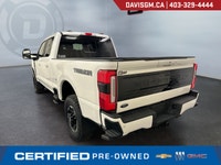 The 2025 Ford Super Duty F-350 SRW Platinum Tremor combines uncompromising heavy-duty capability wit... (image 6)