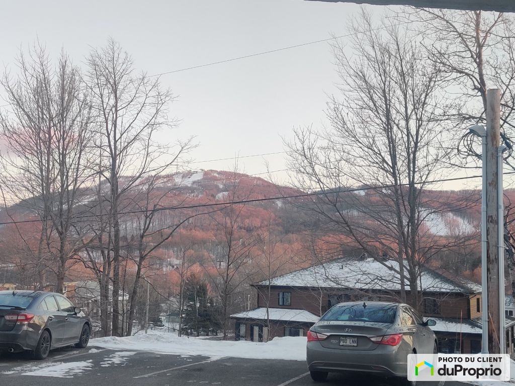 $339,000 - Condominium for sale in Bromont — photo 2