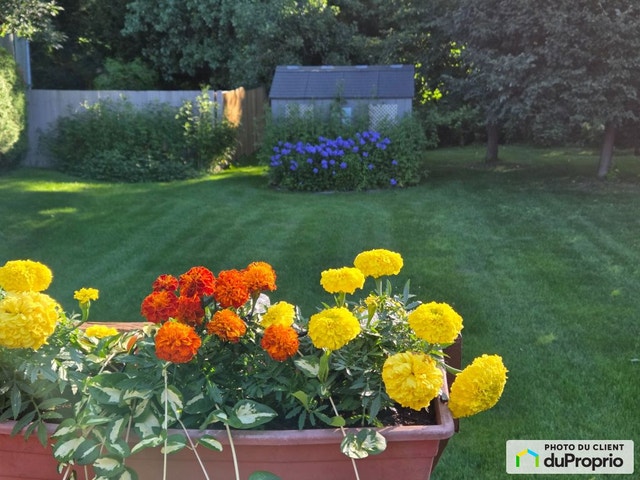$350,000 - Semi-detached - Trois-Rivières (Trois-Rivières-Ouest) — photo 3