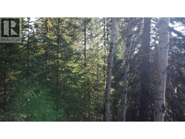 LOT B BRYCE ROAD Forest Grove, British Columbia in Land for Sale in 100 Mile House - Image 13