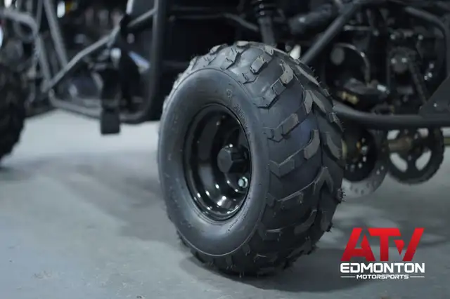 2022 Gio GT125 BUGGY Brand New! For Kids/ 2up/ Available in our  in ATVs in Edmonton - Image 10