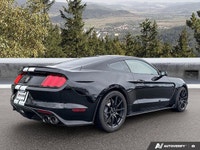Feel the pulse-pounding power of a true performance icon with this 2016 Ford Mustang Shelby GT350, e... (image 4)