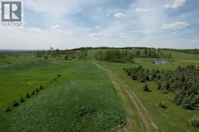 Seize the opportunity to grow this established tree farm into a thriving agricultural business! Curr...