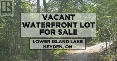 Vacant Waterfront – Undeveloped waterfront lot near the end of Lower Island Lake Road. This exceptio...