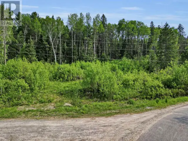 219 DOE LAKE ROAD Armour, Ontario in Land for Sale in Muskoka - Image 7