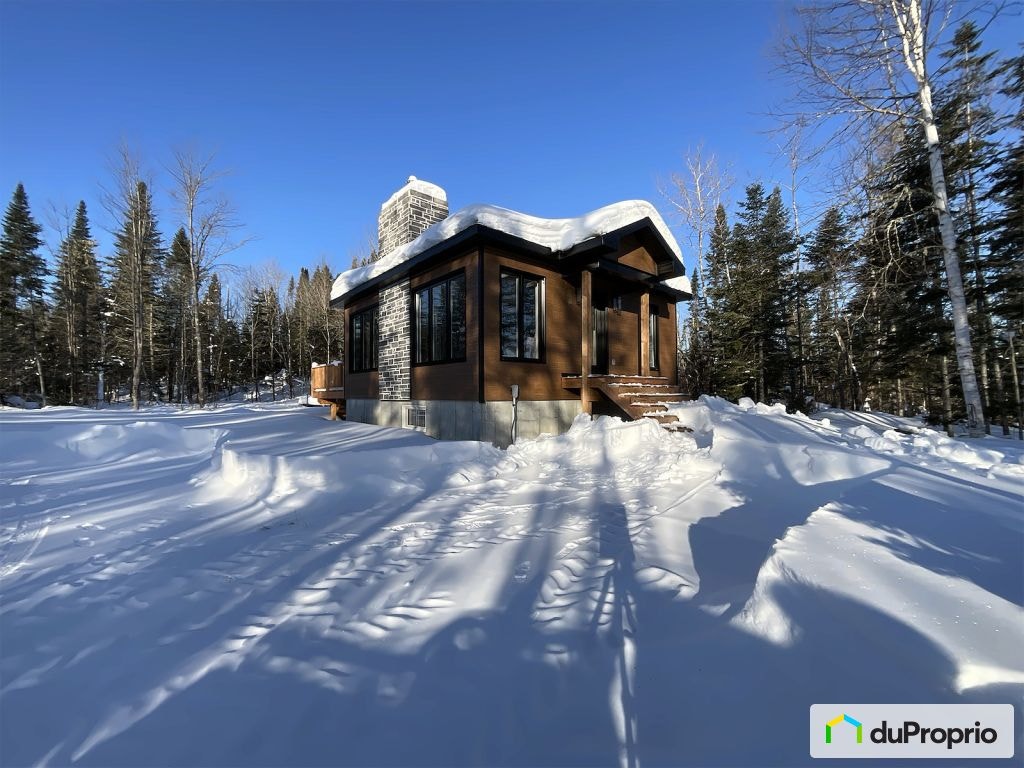$375,000 - Bungalow for sale in Rivière-à-Pierre — photo 1